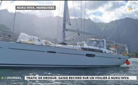 Наркотрафик под парусами