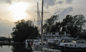 «Нева» в борьбе