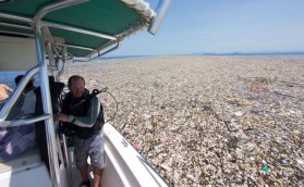 Позор нам, люди!