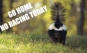 Ветра так и не дождались