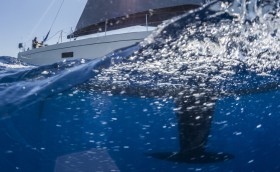 Стильные, дорогие, красивые