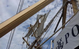 Очередная победа «Акелы»