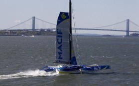 Природа сильнее