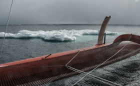 Испытание холодом