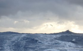 Кругосветные гонки