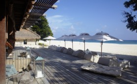 Новые направления