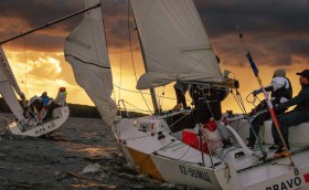 Who Is Who. Итоги