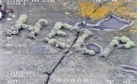 «Даже насморка не подхватил»