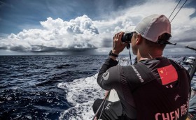 Черепахи, а не яхты!