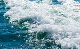 Оставили за бортом