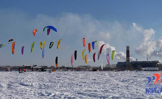 Четыре награды на четверых