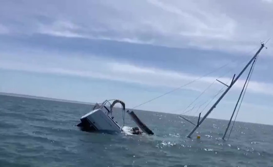 Косатки! Это уже не хулиганство, это покушение на убийство!