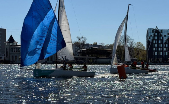 Круговерть по-королевски