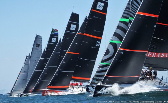 Фотовернисаж Елены Отекиной