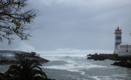 Просихин жаждет реванша