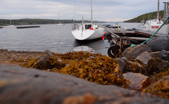 Притяжение Белого моря