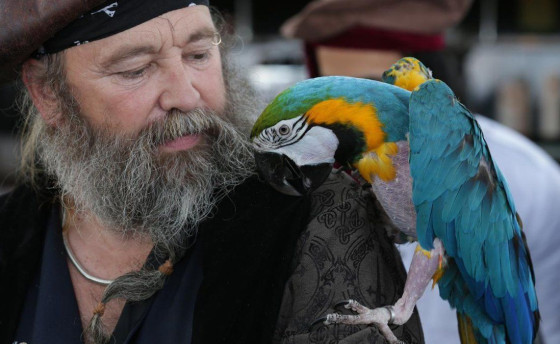 Главная роль попугая