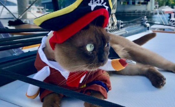 Знакомьтесь, это Мисс Ригби!