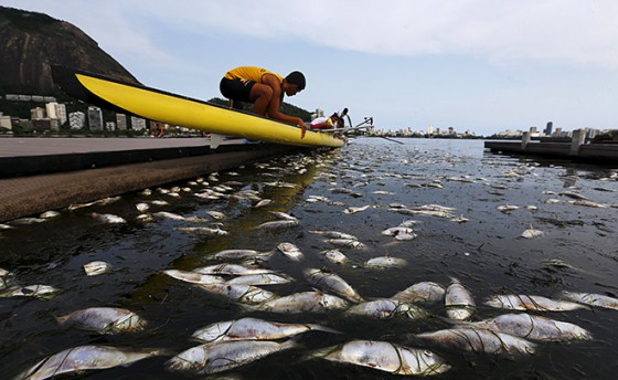 Экологи бьют тревогу