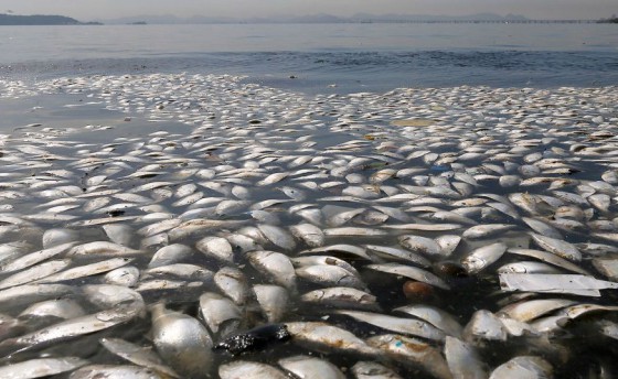 А воз и ныне там