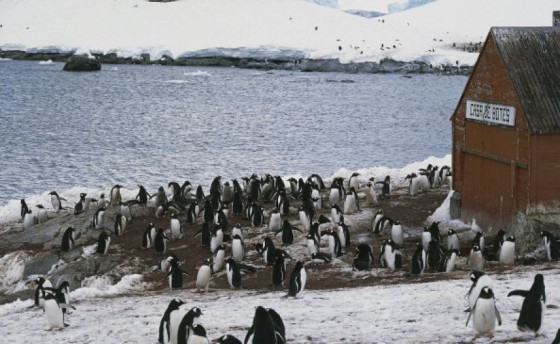 Это произошло 195 лет назад