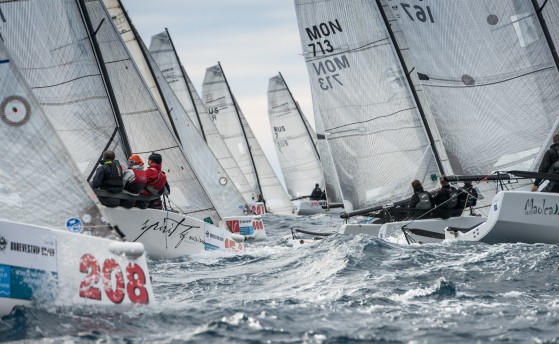 Beluga Cup. К старту все готово