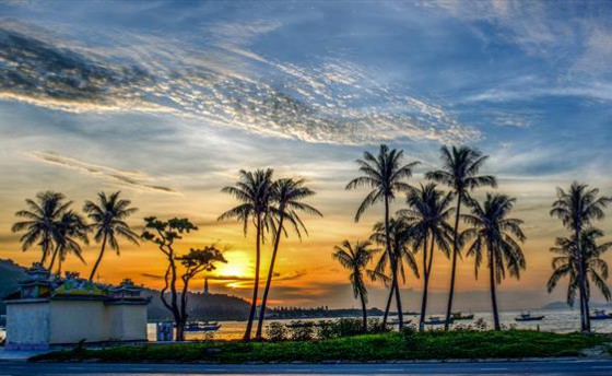 Вьетнам присоединился к кругосветке