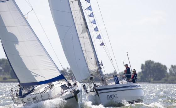 За кубок Contest yachts