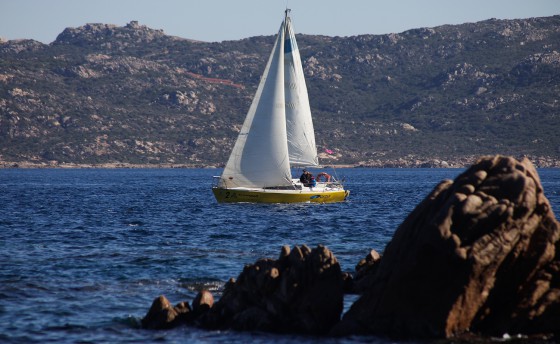 Первая гонка – успех!