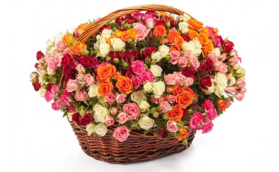 У российского паруса - женское лицо