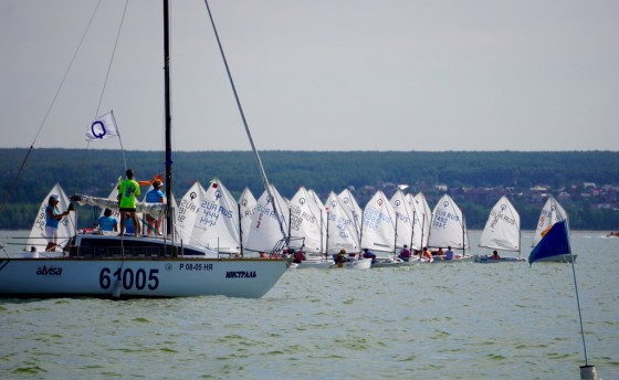 264 участника!