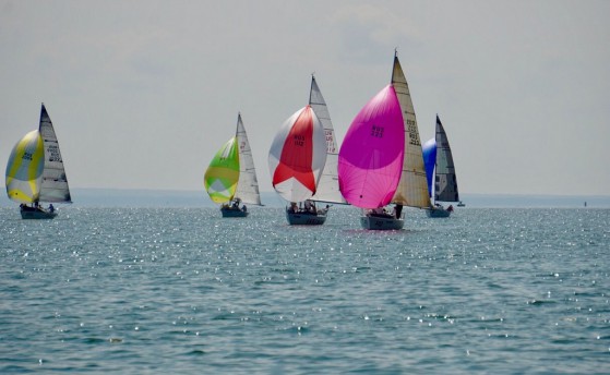 Сразу две масштабных регаты