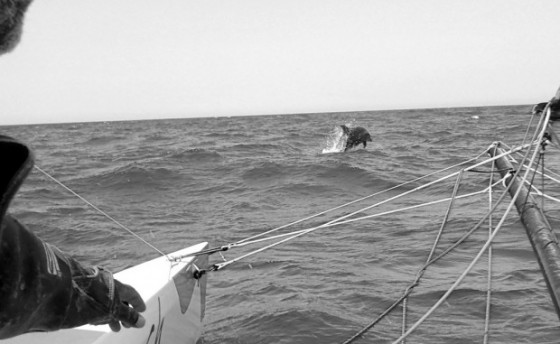 Ивану осталось четыре дня