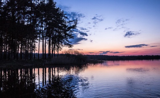 Добро пожаловать на регату "Паруса Мечты"!