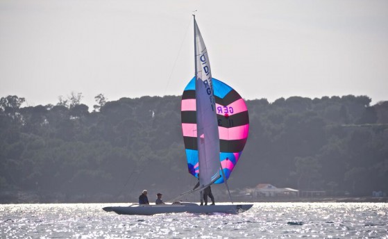 Соревнуются драконисты