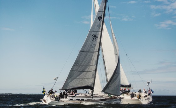 «Кубок Усть-Луги». Все готово к старту