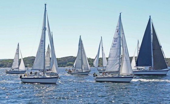 Регата без проигравших