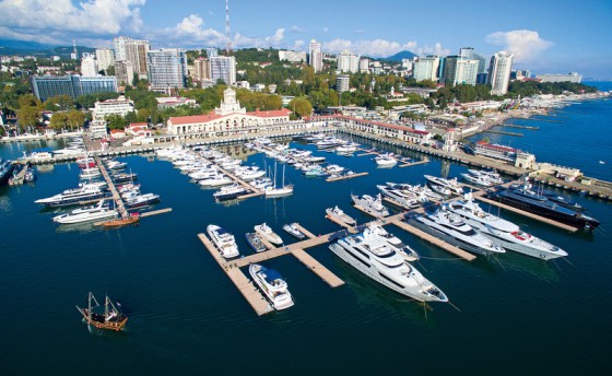 Кедры для марины