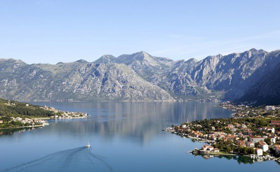 Поздравляем!