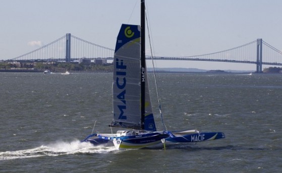 Природа сильнее