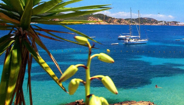 Место под Пальмой