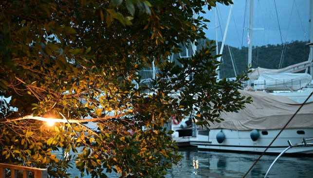 Sinem Tunali on Unsplash