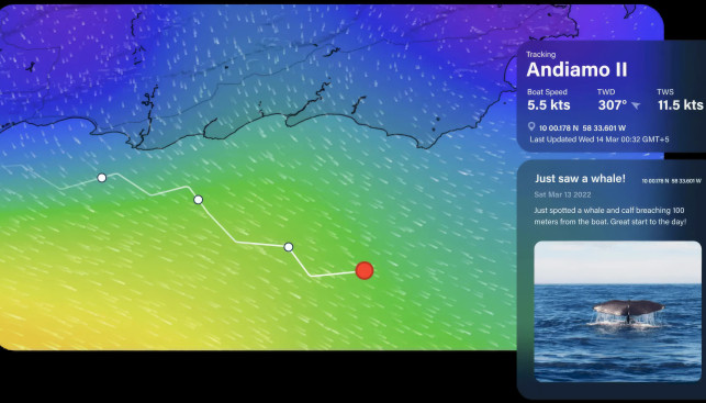 Пример корабельной телеметрии и медиафайла на трекинговой странице