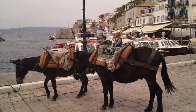 Майская Геческая регата