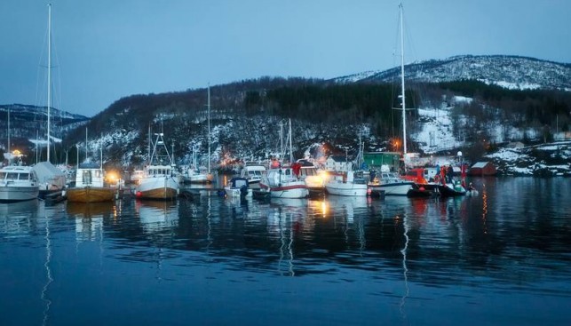 Вечерняя идиллия