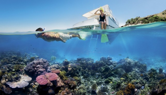 Для знакомства с подводным миром достаточно маски и трубки